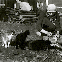 A woman cleaning fish out in the yard, being carefully observed by the cats. Vörå, 1920–1930’s.   Photographer: Erik Hägglund.  Archive collection: The Society of Swedish Literature in Finland (SLS), sls.finna.fi SLS 865 B 303