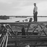 Planks being sawn in the village of Björkö in 1930.   Photographer: Valter W. Forsblom/Berndt J. Schauman.  Archive collection: The Society of Swedish Literature in Finland (SLS), sls.finna.fi SLS 405a_44