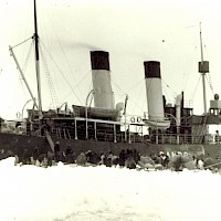 Seal-hunting onboard the ice-breaker Sampo in the 1920’s