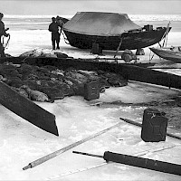 The basecamp out on a good ice floe: “A good ice floe is worth keeping your eyes open for”, the old seal hunters used to say. Removable boat planks were put together to form a shield around the quarry on the ice. It was always turned due north to prevent the sun from shining in under the sail which was pulled over for protection. Sunlight made the hair come off the dead seals and the skins were quite valuable.   Photographer: Åke Öster 1959 Archive collection: Kvarken Boat Museum, picture archive